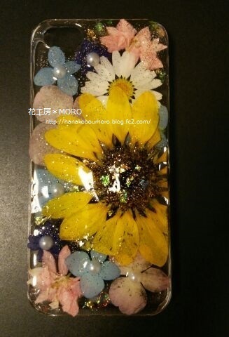 iPhone5s1.jpg